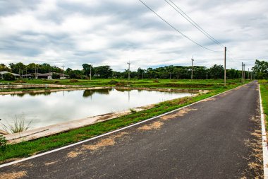Tayland 'da Kwan Phayao Gölü' nün yanında balık havuzlu koşu pisti..
