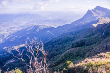 Tayland 'ın Chiangrai ilindeki Doi Pha Tang Dağı manzarası.