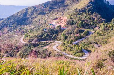 Chiangrai, Tayland 'da Doi Pha Tang yolu..