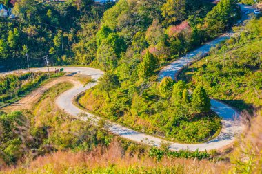 Chiangrai, Tayland 'da Doi Pha Tang yolu..