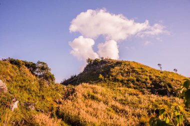 Tayland 'ın Chiangrai ilindeki Doi Pha Tang Dağı manzarası.