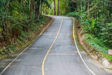 Tayland 'daki dağda küçük bir yol.
