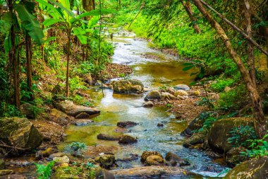 Tayland 'daki Mork Fa şelalesinde küçük bir kanal..