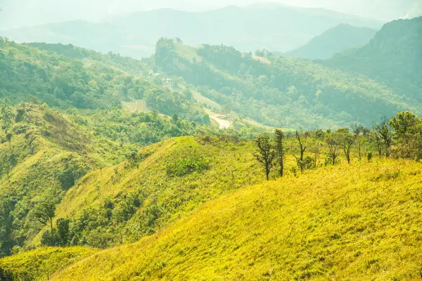 Chiangrai, Tayland 'daki Phu Chi Fa Dağı manzarası.