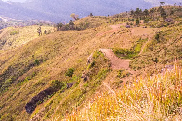 Chiangrai, Tayland 'daki Phu Chi Fa Dağı manzarası.