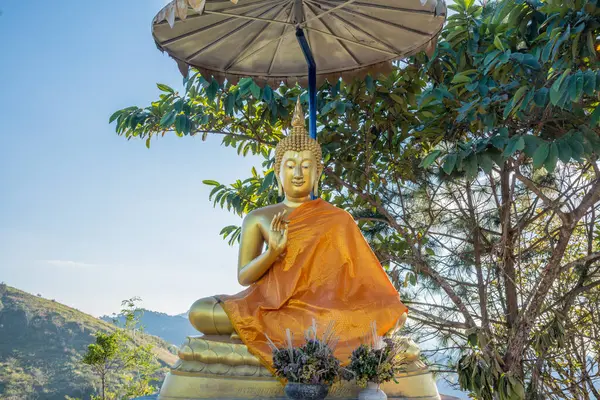 Bouddha Sur Colline Doi Pha Tang Thaïlande — Photo