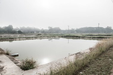 Tayland 'ın Phayao eyaletinde kış mevsiminde sisli balık havuzu.