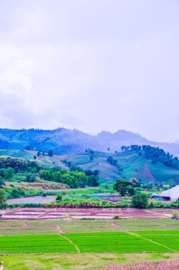 Tayland 'ın Chiang Rai eyaletinde güzel doğal manzara..