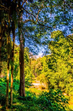 Doi Phu Nang Ulusal Parkı, Tayland.