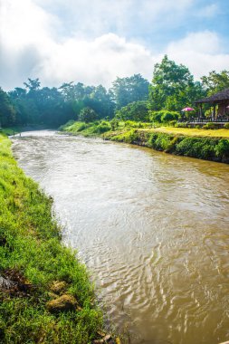 Tayland, Mae Hong Son bölgesinde Pai nehri ve doğal manzara.