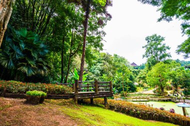 Mae Fah Luang bahçesinin manzarası, Tayland.
