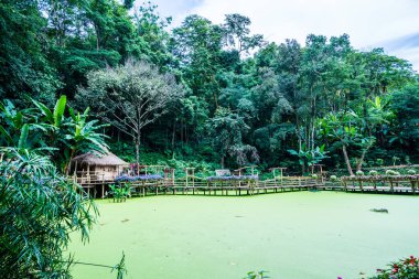 Mae Fah Luang bahçesinin manzarası, Tayland.