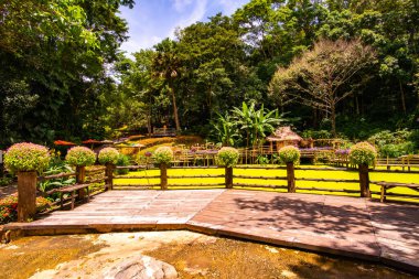 Chiang Rai bölgesindeki Mae Fah Luang Bahçesi, Tayland.