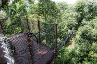Mae Fah Luang Bahçesinde Ağaç Tepesi Yürüyüşü, Chiang Rai.