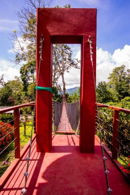 Mae Fah Luang Bahçesinde Ağaç Tepesi Yürüyüşü, Chiang Rai.