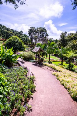 Chiang Rai bölgesindeki Mae Fah Luang Bahçesi, Tayland.