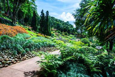 Chiang Rai bölgesindeki Mae Fah Luang Bahçesi, Tayland.