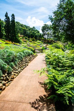 Chiang Rai bölgesindeki Mae Fah Luang Bahçesi, Tayland.