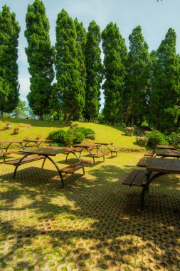 CHIANG RAI, THAILAND - 28 Ağustos 2016: Mae Fah Luang Garden, Tayland.