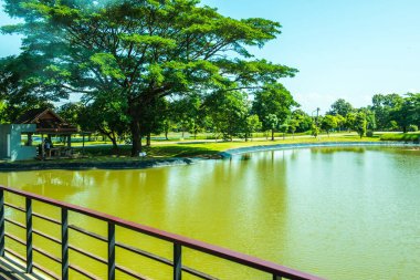 Tayland 'ın Chiang Rai şehrinde göllü teras..