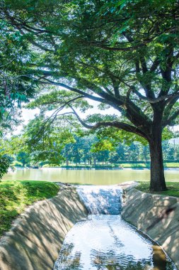Su, Tayland 'daki küçük beton kanala taşar..