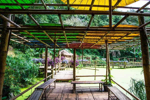 Mae Fah Luang Bahçesi Bambu Yolu Tayland — Stok fotoğraf