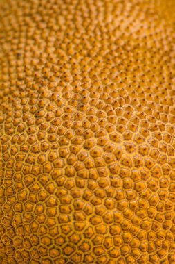 Nefesi, Tayland dokusuna