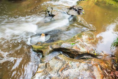 Mae Sa Şelalesinde Su Akıyor, Tayland