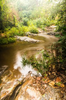 Mae Sa Şelalesinde Su Akıyor, Tayland