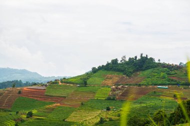 Tayland, Tayland 'da doğal manzara.