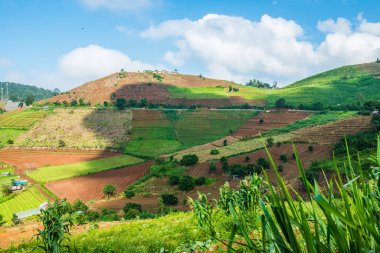 Tayland, Tayland 'da doğal manzara.