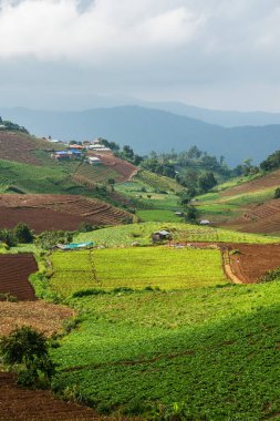 Tayland, Tayland 'da doğal manzara.