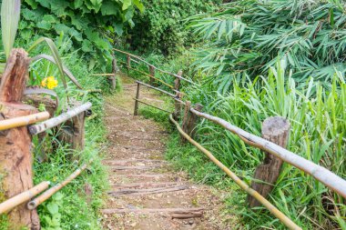 Tayland, Tayland 'da bambu raylı ahşap merdivenler