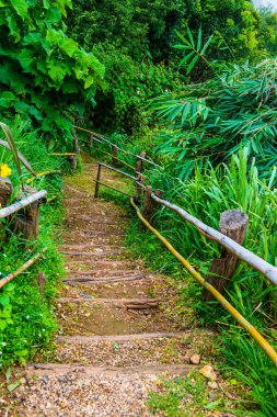 Tayland, Tayland 'da bambu raylı ahşap merdivenler