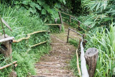 Tayland, Tayland 'da bambu raylı ahşap merdivenler