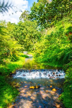 Küçük kanallı park, Tayland.