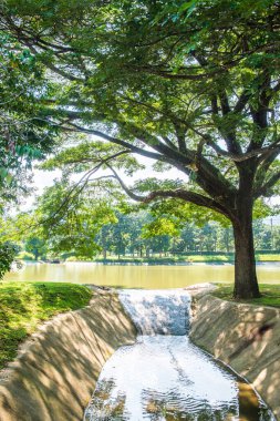 Su, Tayland 'daki küçük beton kanala taşar..