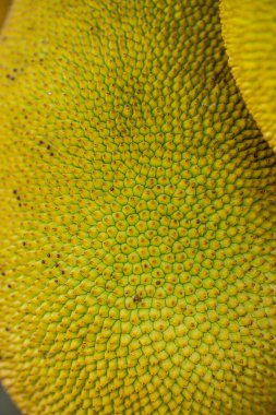 Nefesi, Tayland dokusuna