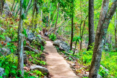 Tayland 'daki dağda beton geçit..