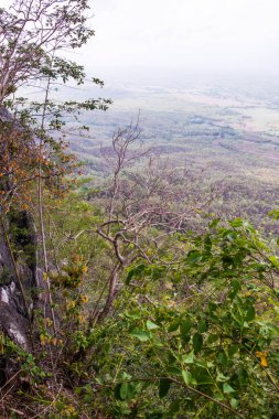 Tayland 'ın Lampang bölgesindeki ağaçlar, mağaralar ve Pan şehri.