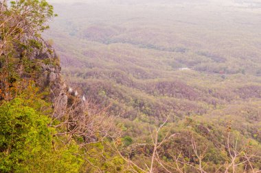 Chaloemphrakiat Prajomklao Rachanusorn Tapınağı, Tayland.