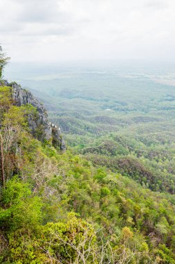Chaloemphrakiat Prajomklao Rachanusorn Tapınağı, Tayland.