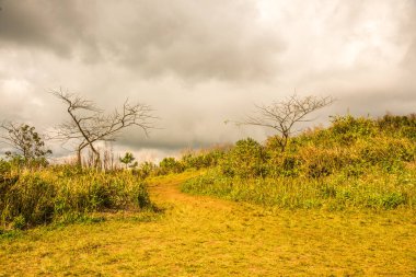 Chiangrai, Tayland 'daki Phu Chi Fa Dağı manzarası.