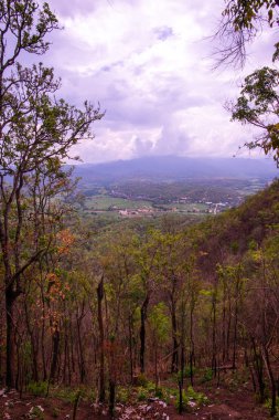 Chalermprakiat Prachomklao Rachanusorn Tapınağı, Tayland.
