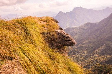 Chiangrai, Tayland 'daki Phu Chi Fa Dağı manzarası.