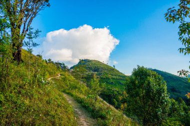 Tayland 'ın Chiangrai ilindeki Doi Pha Tang Dağı manzarası.