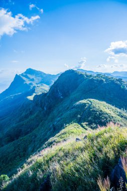Tayland 'ın Chiangrai ilindeki Doi Pha Tang Dağı manzarası.