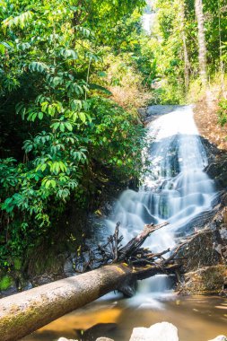 Siribhum Şelalesi, Tayland, Chiang Mai vilayetinde.