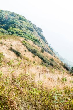 Kew Mae Pan görünümü Doi Inthanon Tabiat Parkı, Tayland