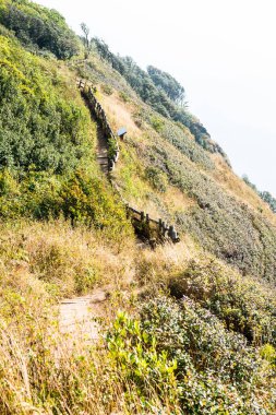 Kew Mae Pan görünümü Doi Inthanon Tabiat Parkı, Tayland